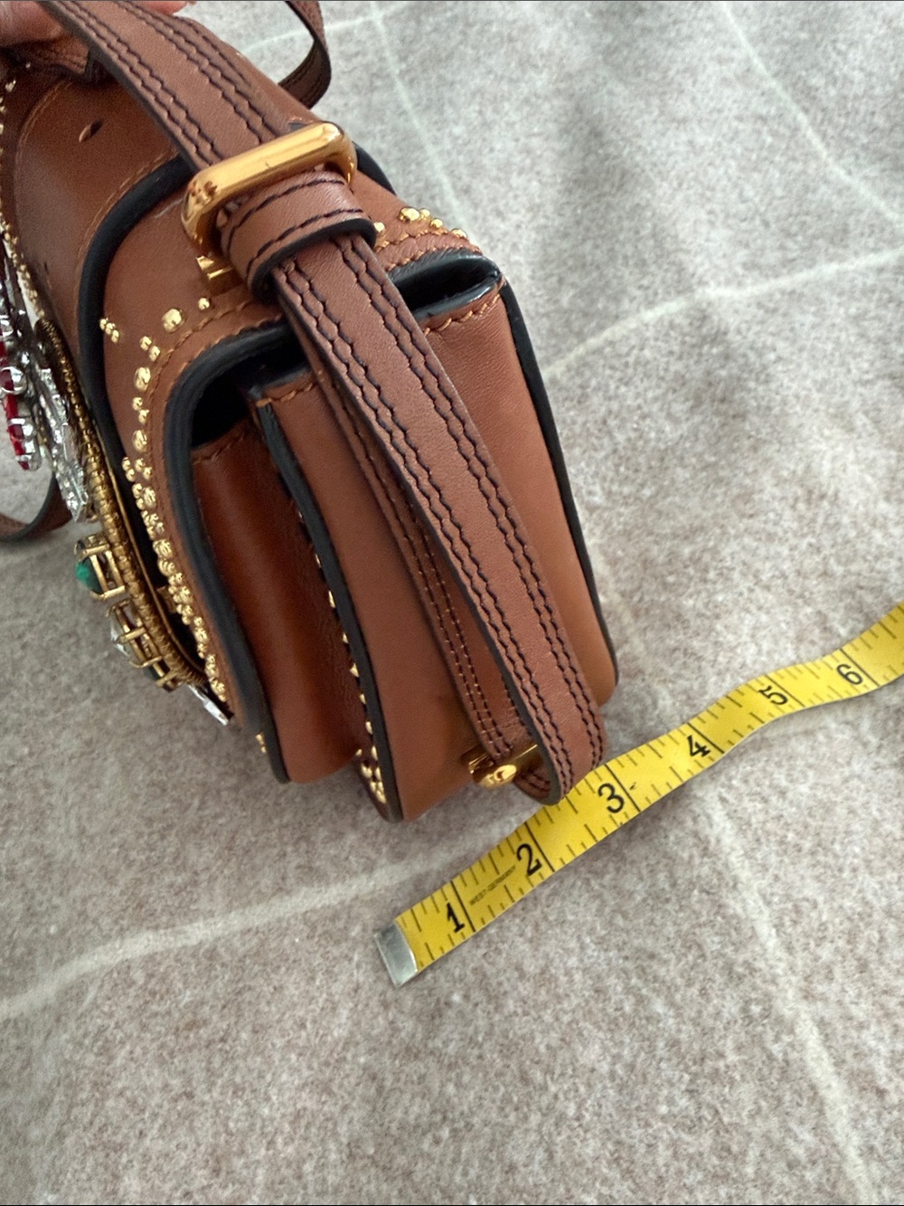 Miu Miu Brown Mini Crossbody with Jeweled Floral Buckle - Picture 5 of 11